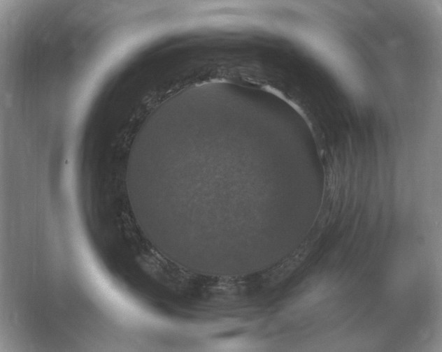 X0000064770383200603031832