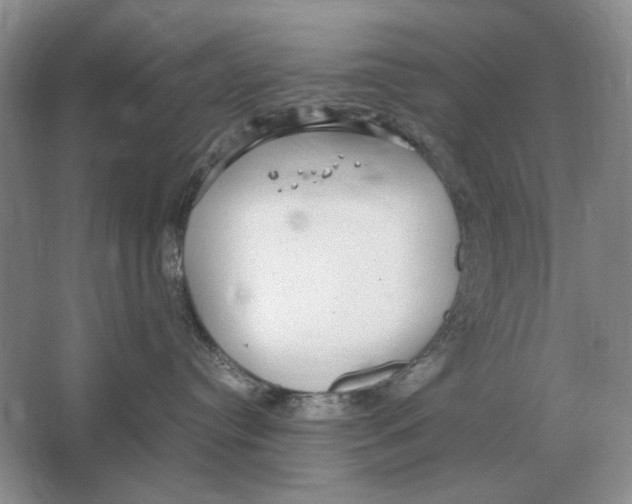 X0000064770384200603031832