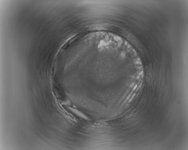 X0000064770386200603031831