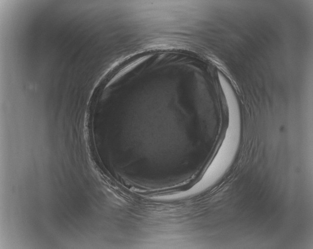 X0000064770387200603031831