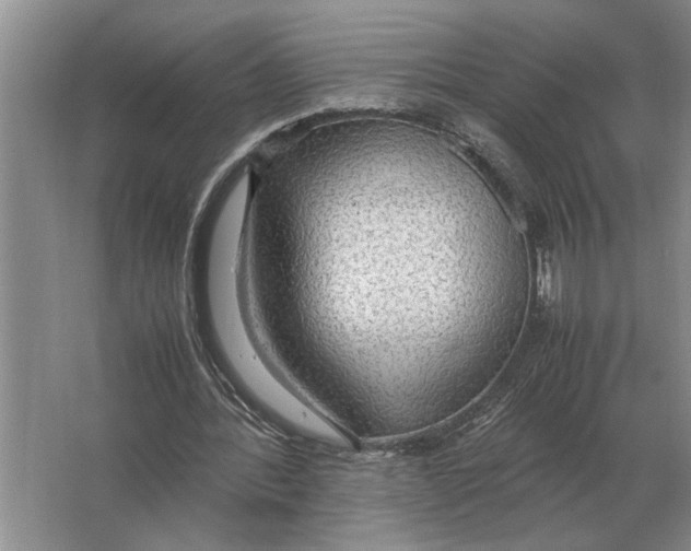 X0000064770388200603031831