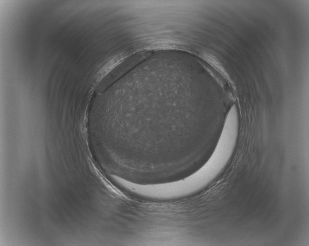 X0000064770389200603031831