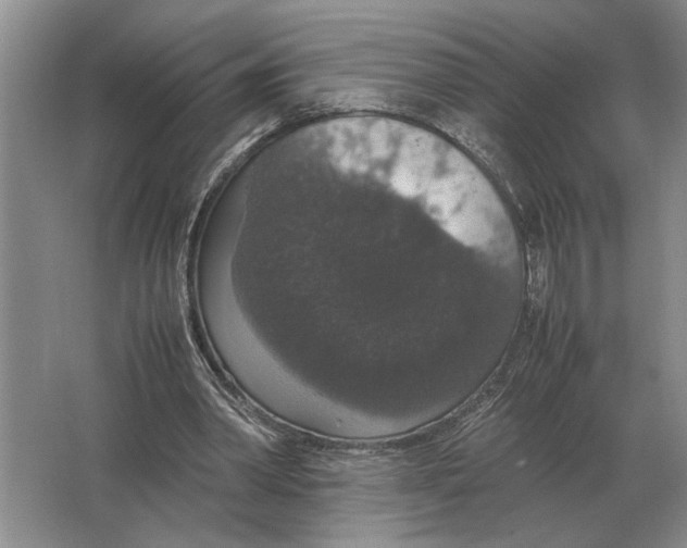 X0000064770390200603031831