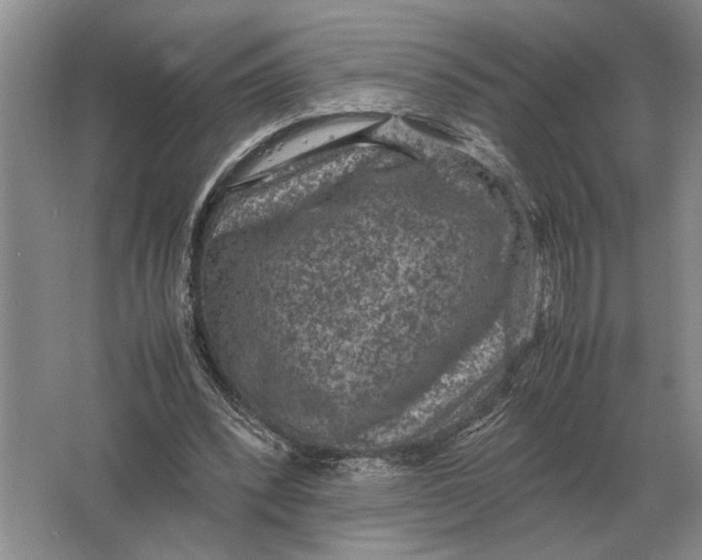 X0000064770392200603031831