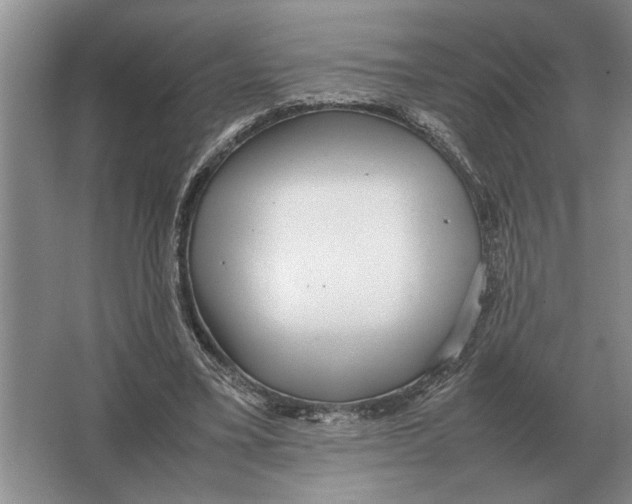 X0000064770395200603031831