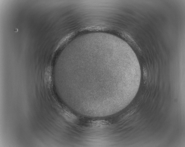 X0000064770396200603031831