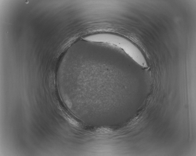 X0000064770397200603031831