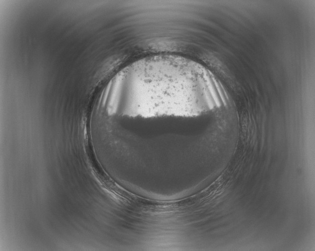 X0000064770398200603031831