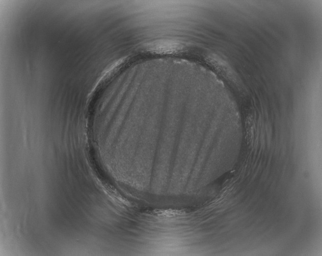 X0000064770400200603031831