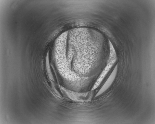 X0000064770401200603031831