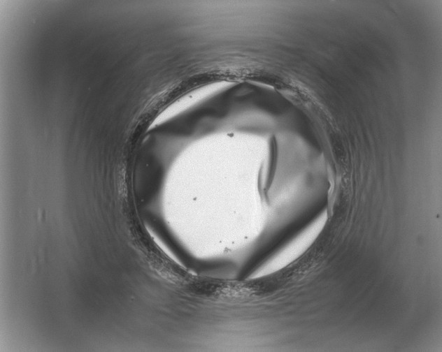 X0000064770403200603031831