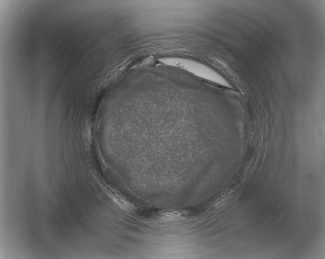 X0000064770405200603031830