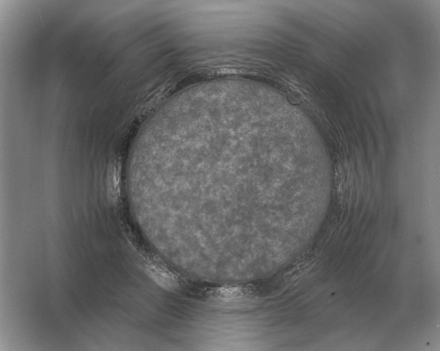 X0000064770406200603031830