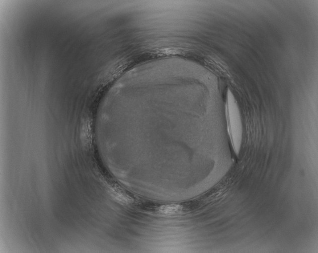 X0000064770410200603031830