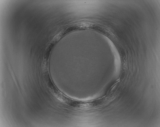 X0000064770411200603031830