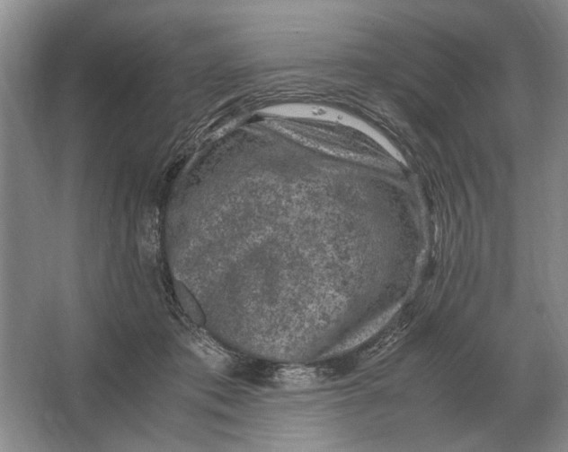 X0000064770413200603031830