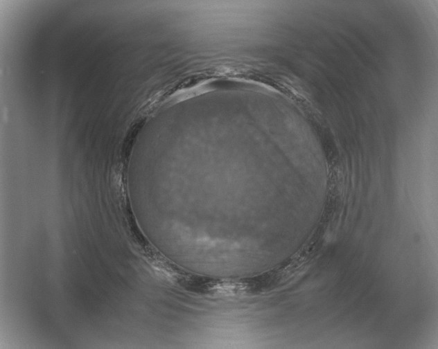 X0000064770415200603031830