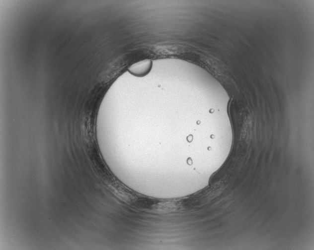 X0000064770418200603031830