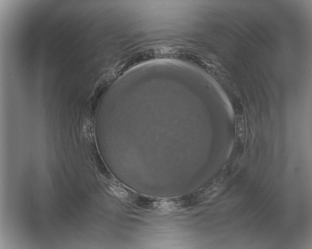 X0000064770419200603031830