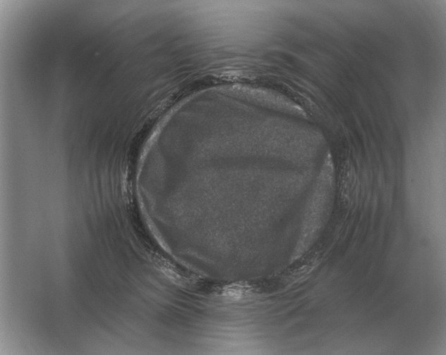 X0000064770420200603031830