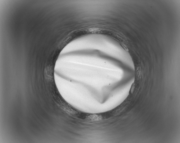 X0000064770421200603031830