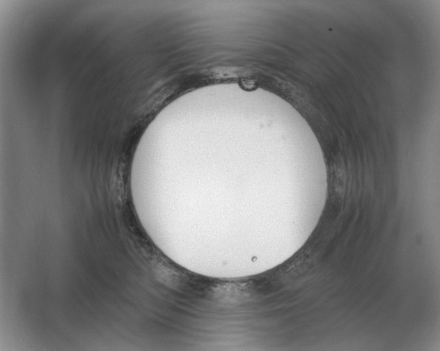 X0000064770422200603031830