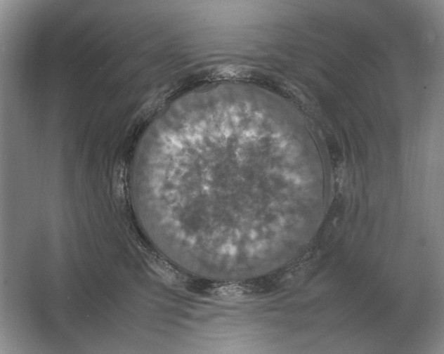 X0000064770423200603031830