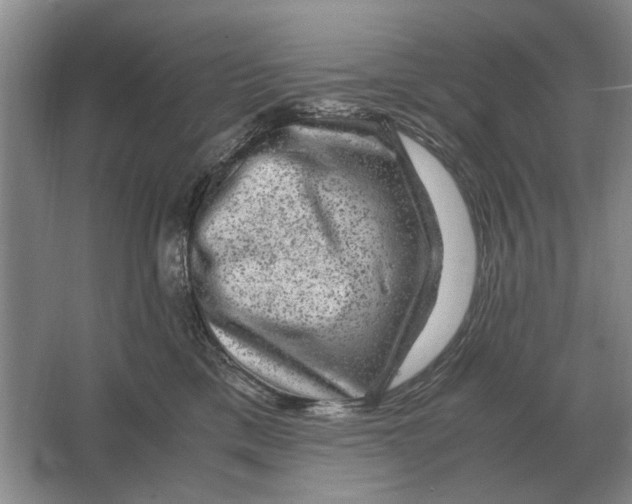 X0000064770425200603031830