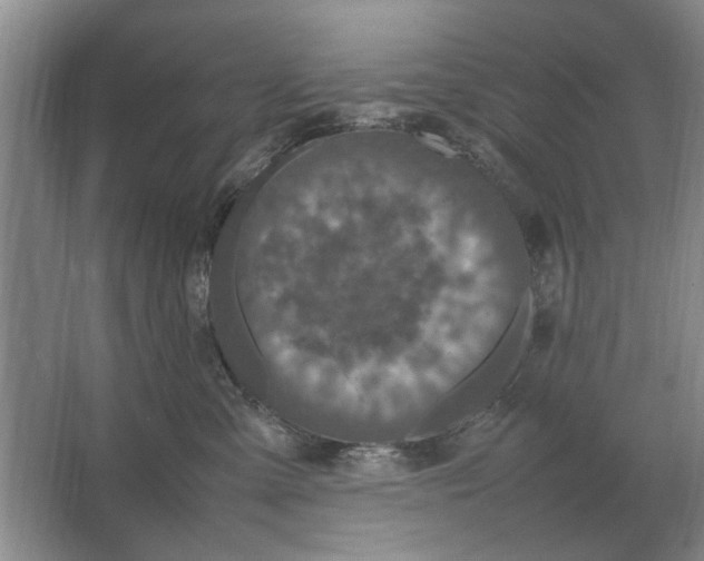 X0000064770427200603031830