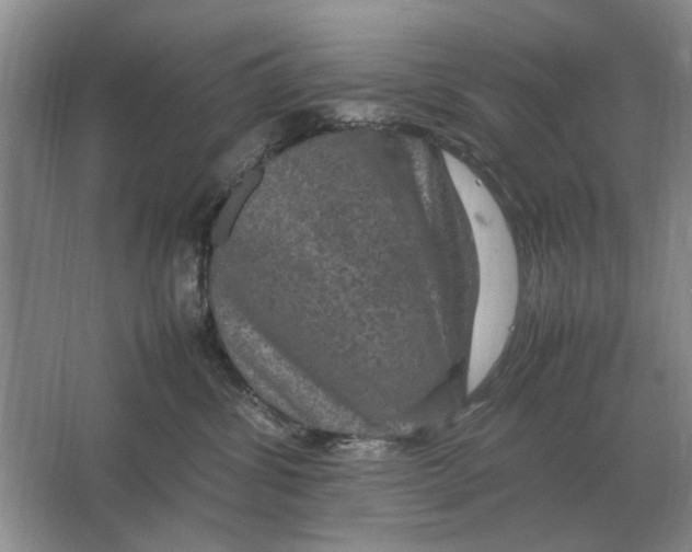 X0000064770428200603031830