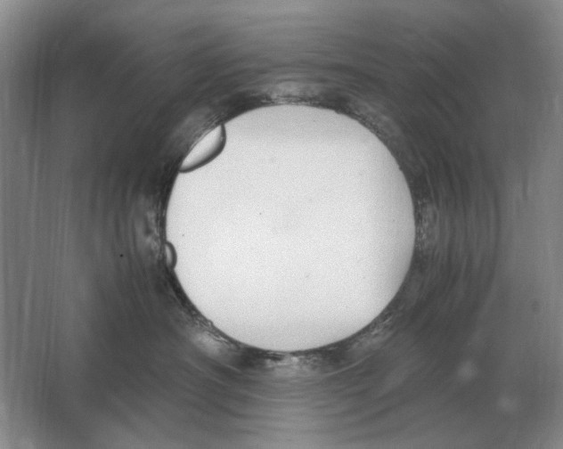 X0000064770430200603031830