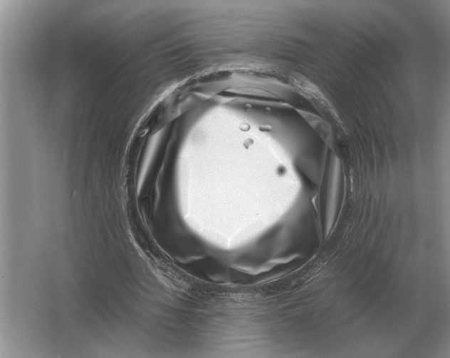 X0000064770436200603031829