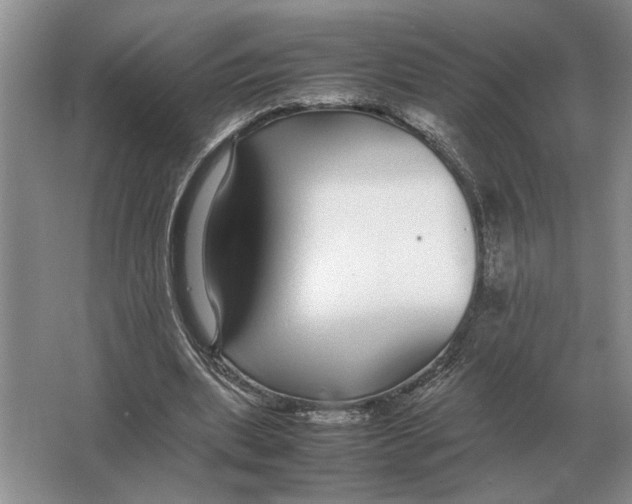 X0000064770439200603031829