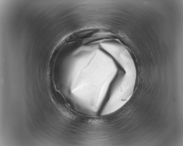 X0000064770440200603031829