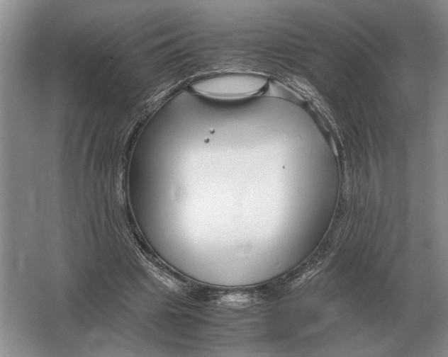 X0000064770441200603031829