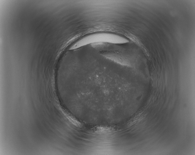 X0000064770442200603031829