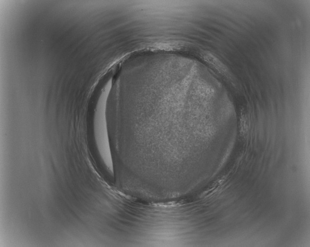 X0000064770444200603031829