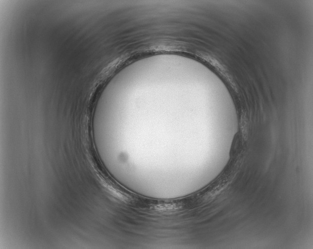 X0000064770445200603031829