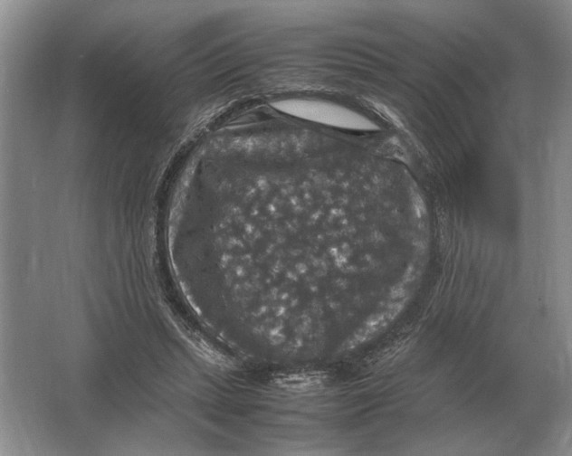 X0000064770447200603031829