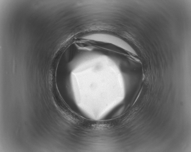 X0000064770448200603031829