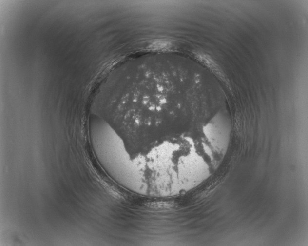 X0000064770449200603031829