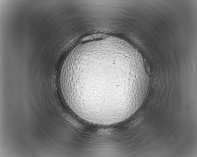 X0000064770450200603031829