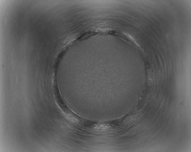 X0000064770451200603031830