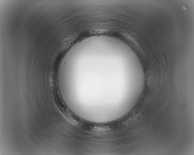 X0000064770455200603031830