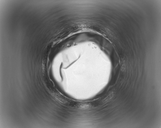 X0000064770456200603031830