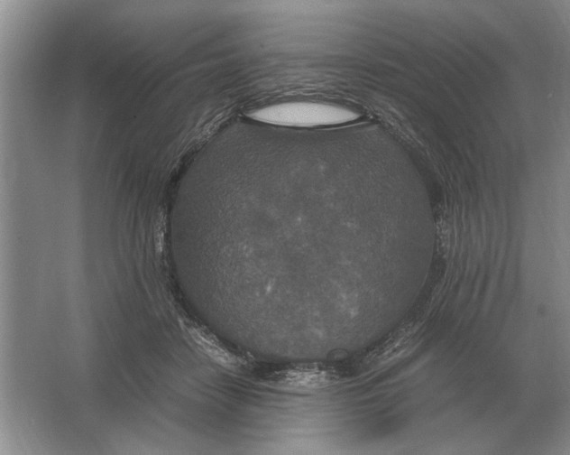 X0000064770458200603031830