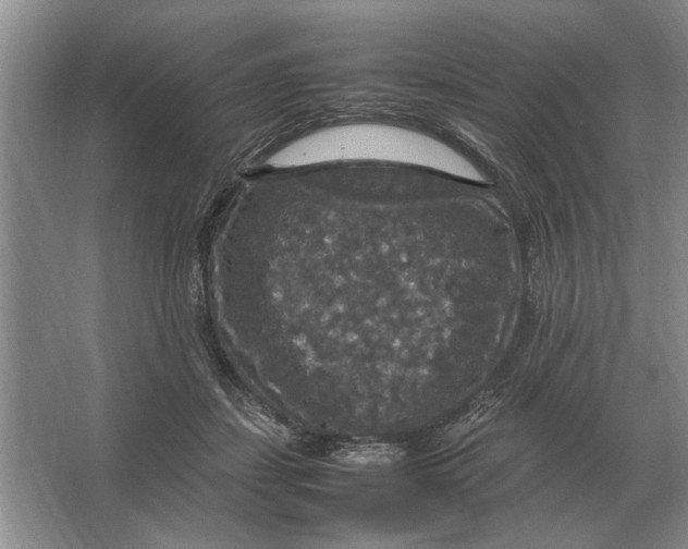 X0000064770459200603031830