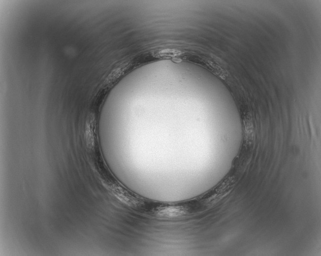 X0000064770460200603031830