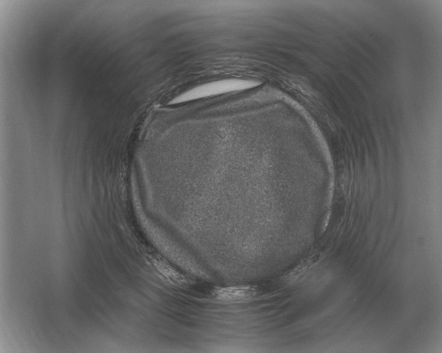 X0000064770461200603031830