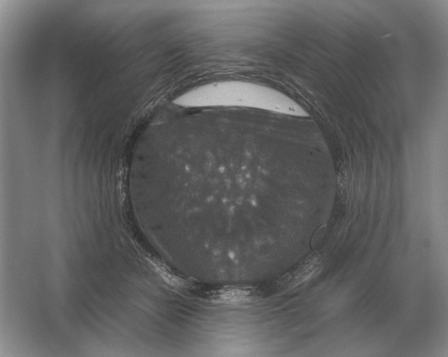 X0000064770462200603031830